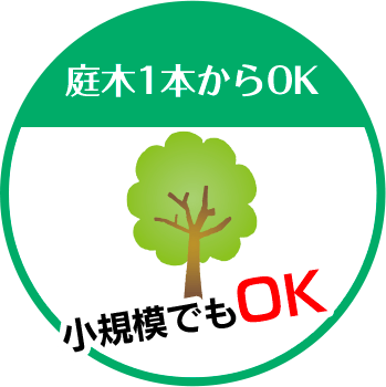 北九州伐採専門店は庭木1本からOK 小規模でもOK!!